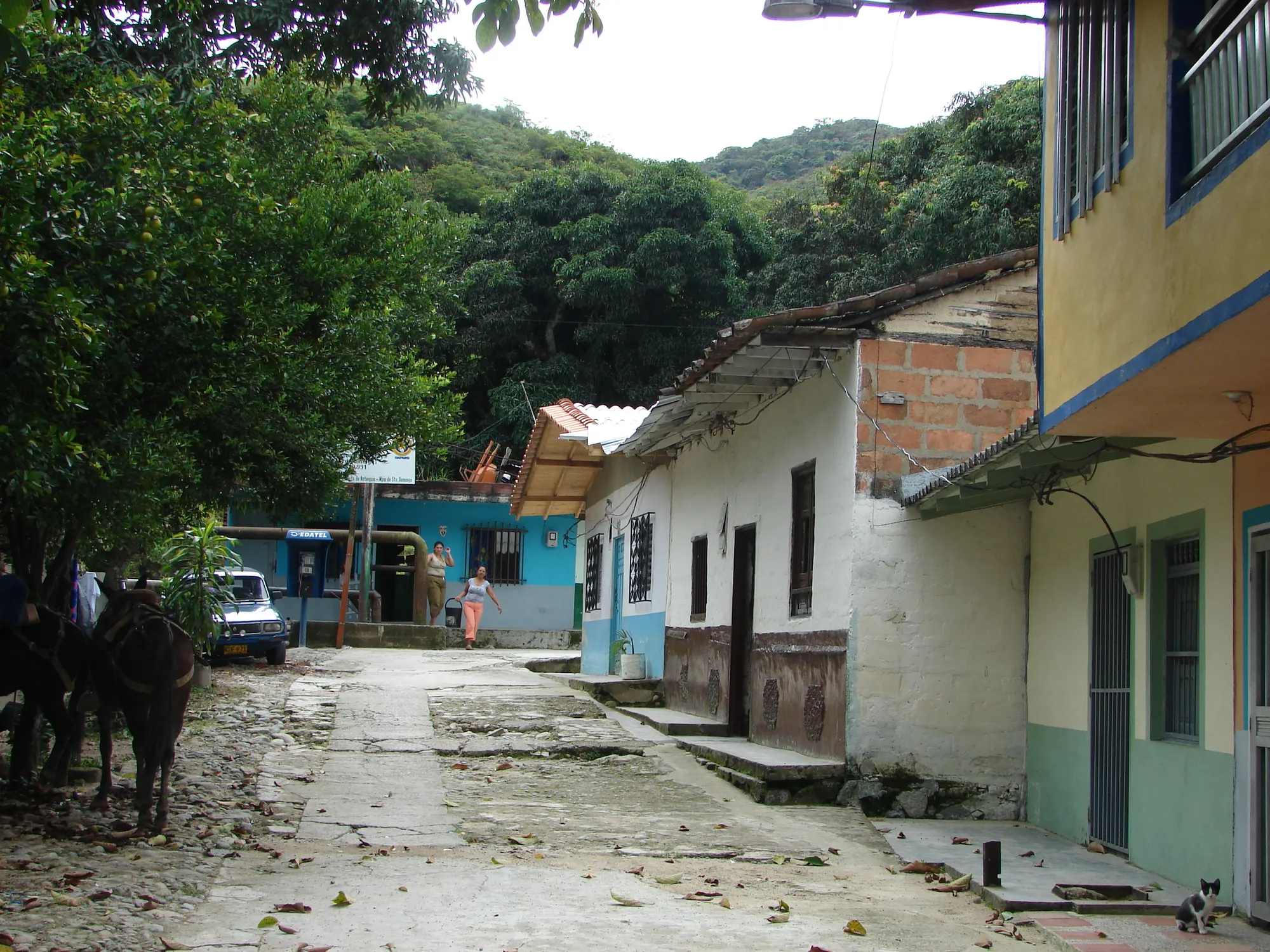 Calle en pendiente con casas de colores y un caballo, camino hacia los charcos.