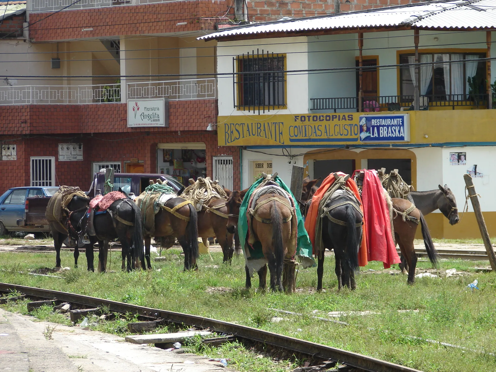 Mulas y caballos ensillados con enjalmas de colores, amarrados junto a la carrilera frente a comercios.