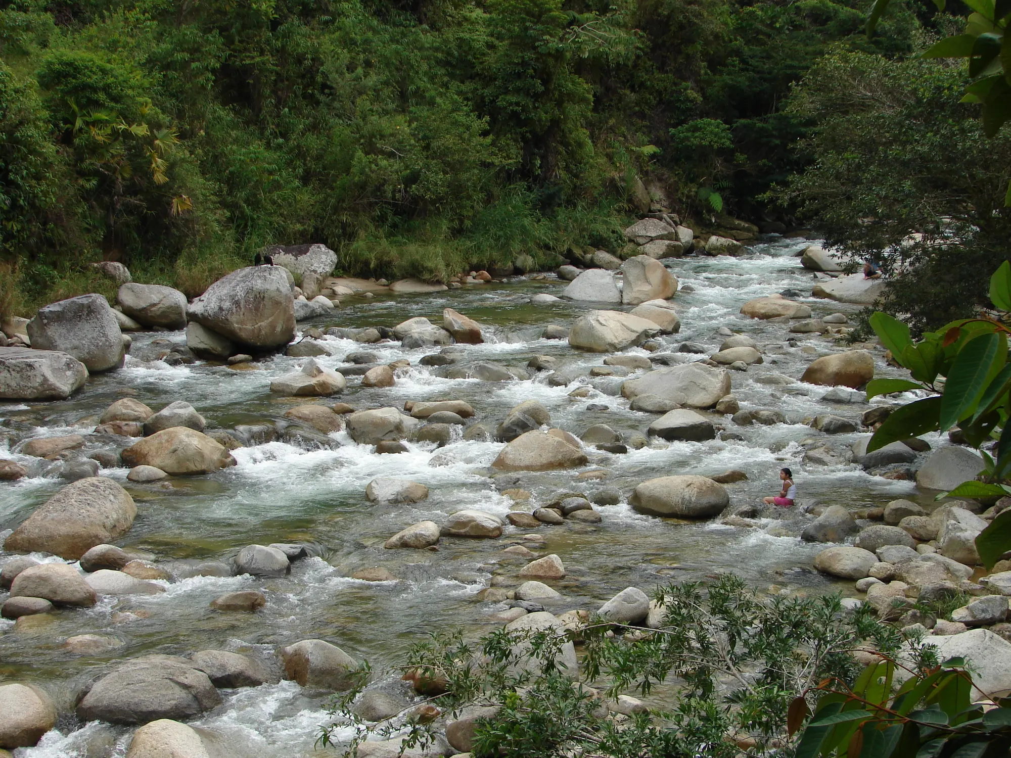 Corriente de agua clara entre grandes piedras redondeadas y bosque, con un bañista al fondo.