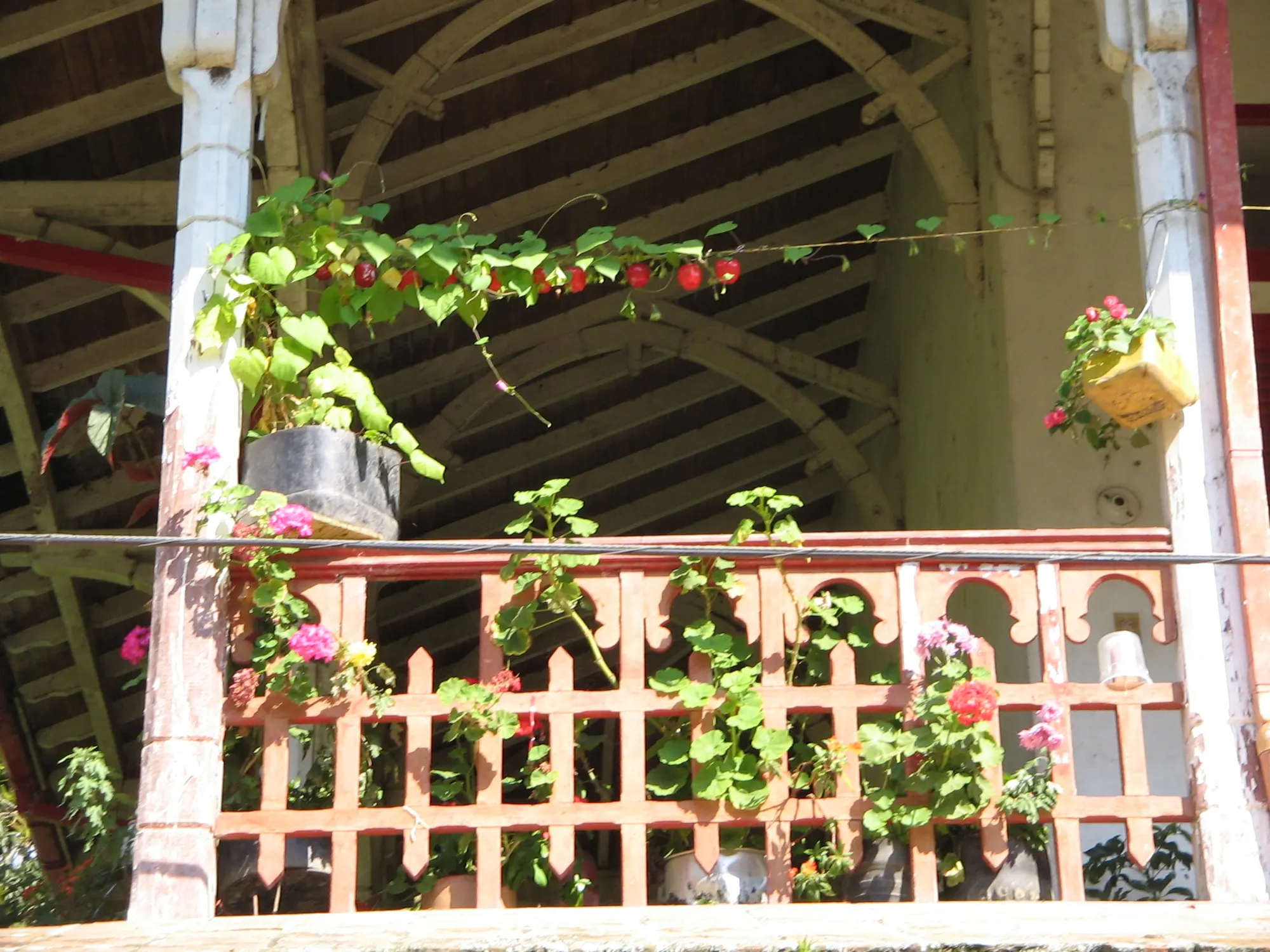 Detalle del corredor del antiguo Hotel de El Limón: chambrana, materas con flores y estructura de madera.