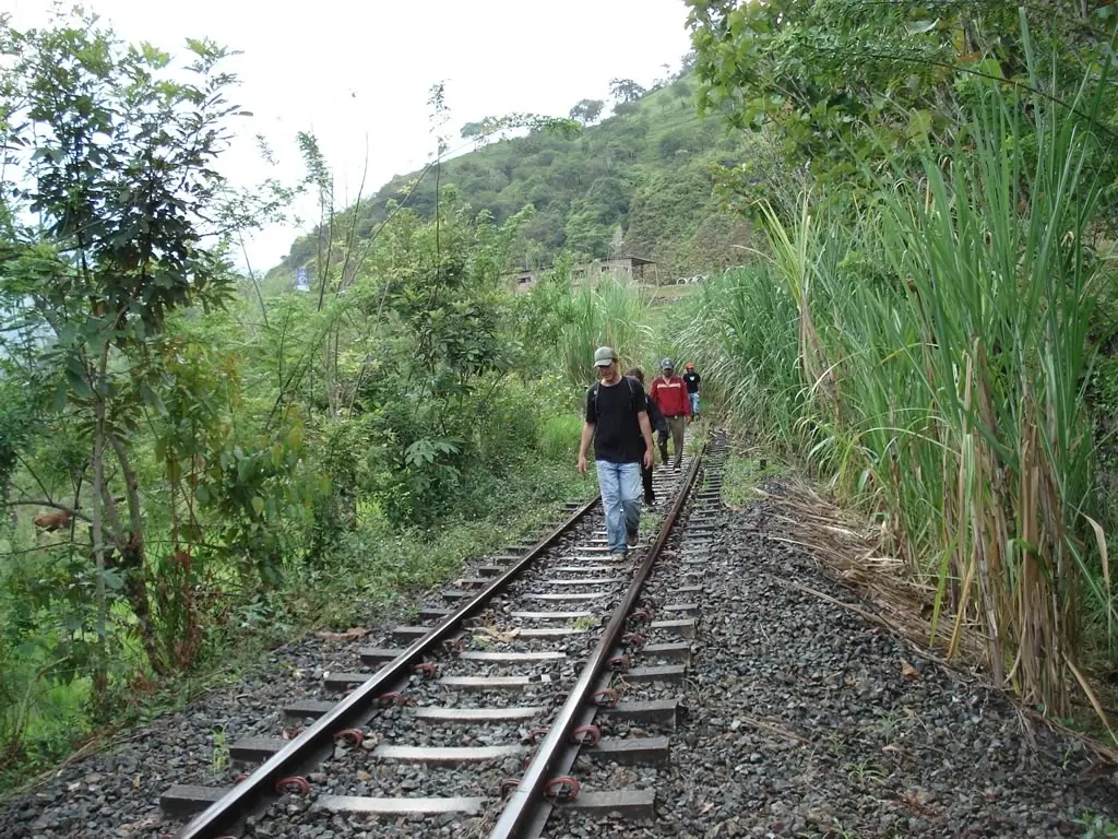 Caminantes por la vía férrea entre cañaverales, con la montaña al fondo.