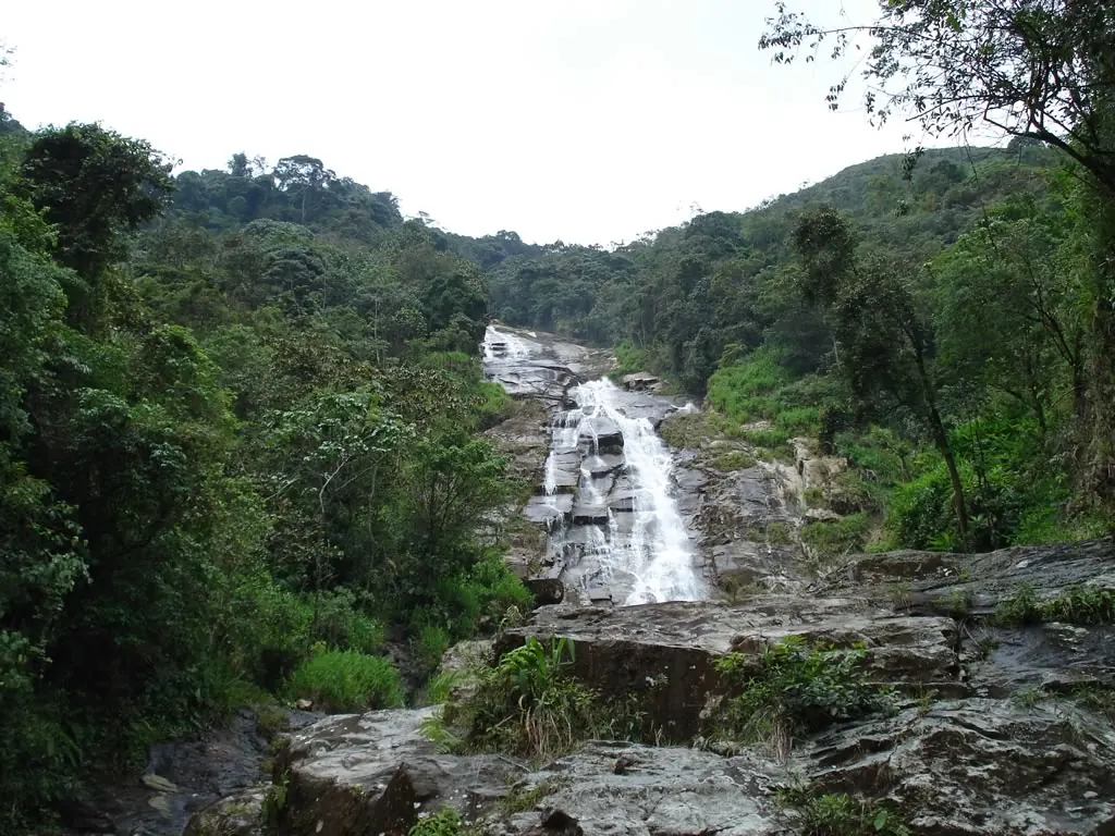 Cascada de varios saltos sobre roca entre bosque, vista desde el cauce.