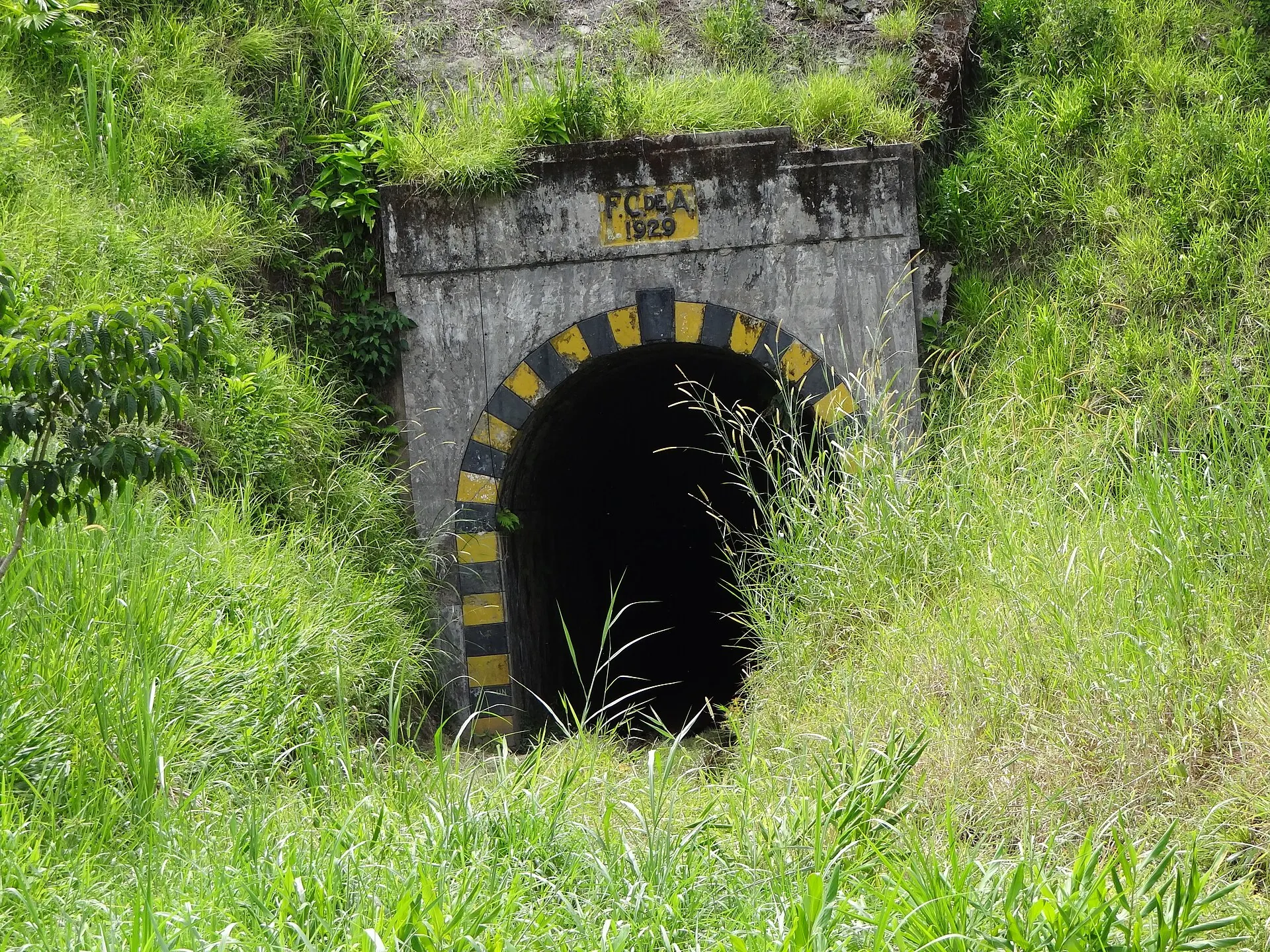 Boca del túnel ferroviario de La Quiebra del lado de El Limón: portal de concreto con franjas amarillas y negras, cubierto de vegetación.